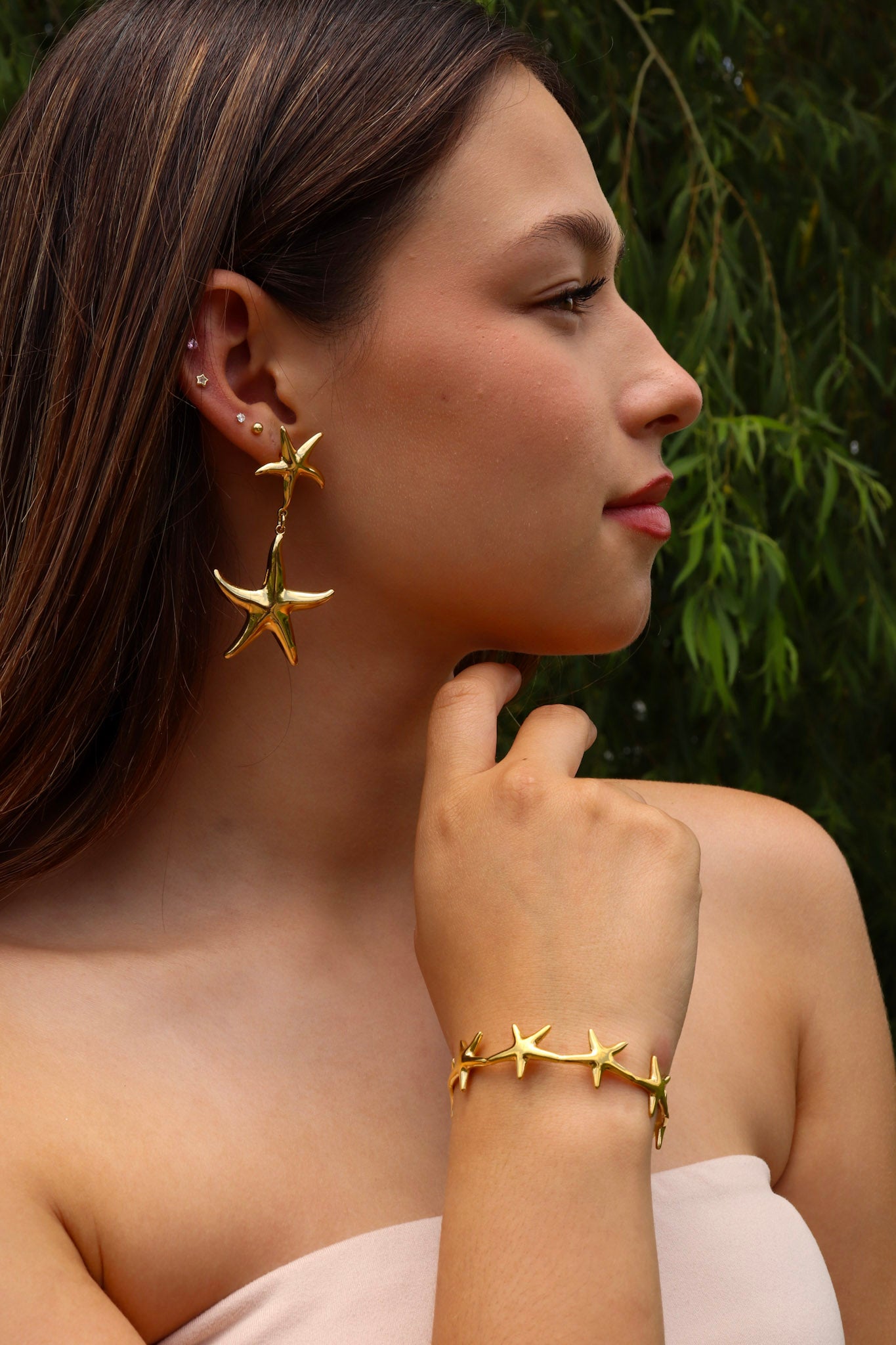 Aretes de estrellas