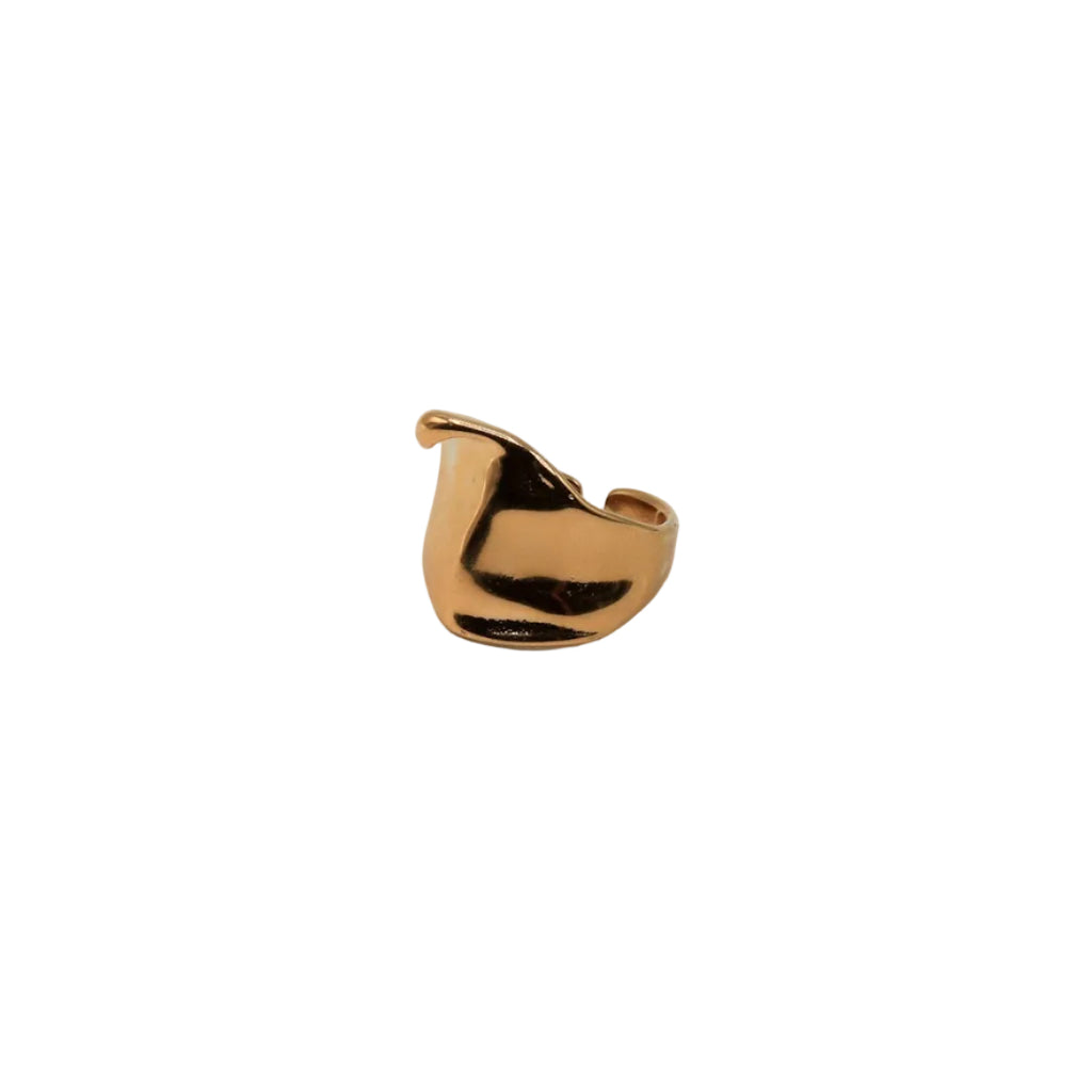 Anillo Brava