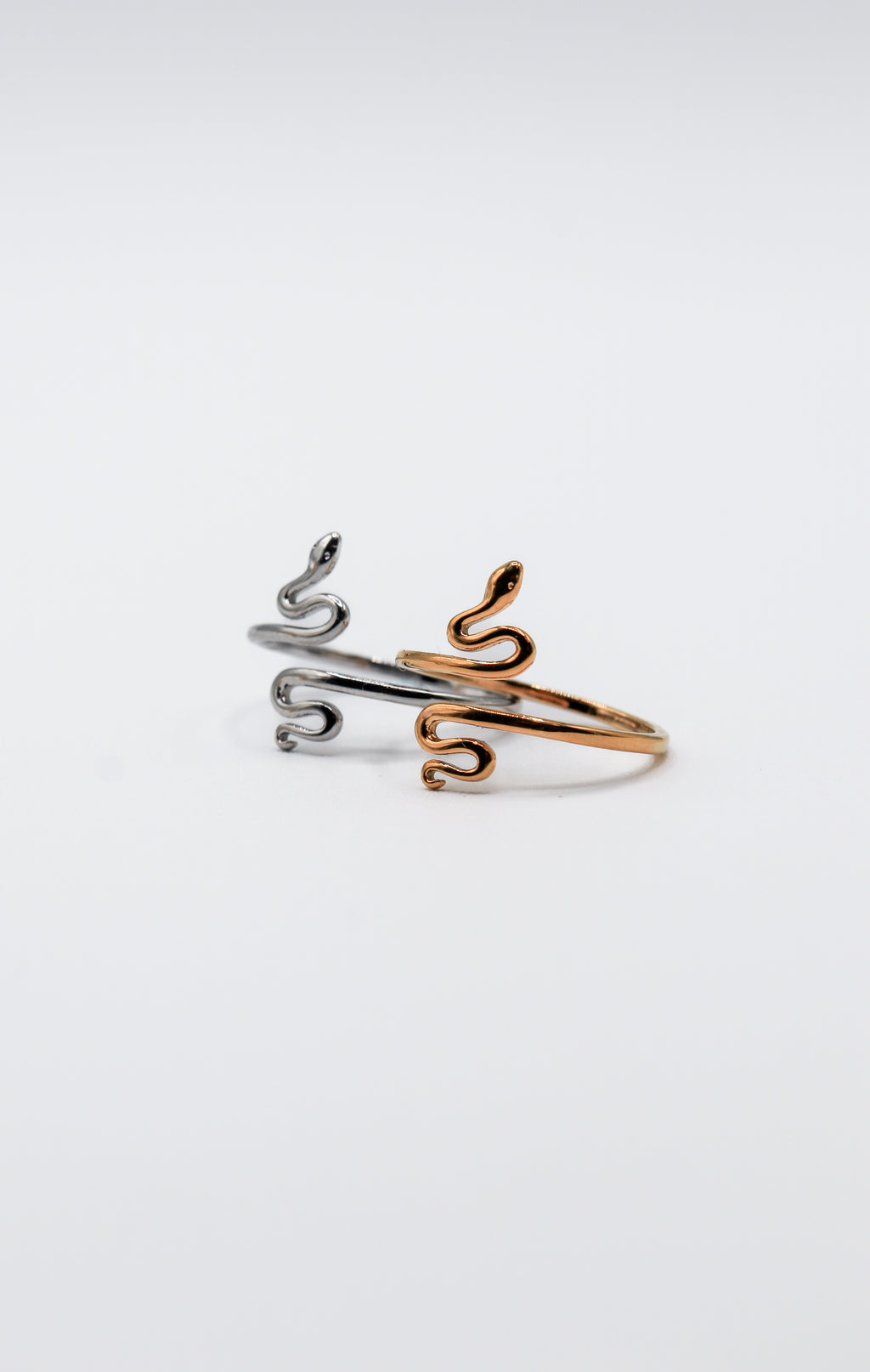 Anillo Snake