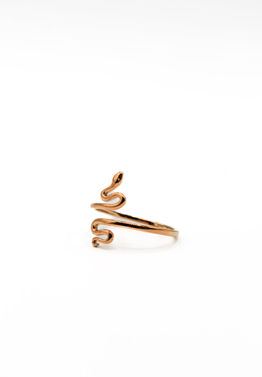 Anillo Snake