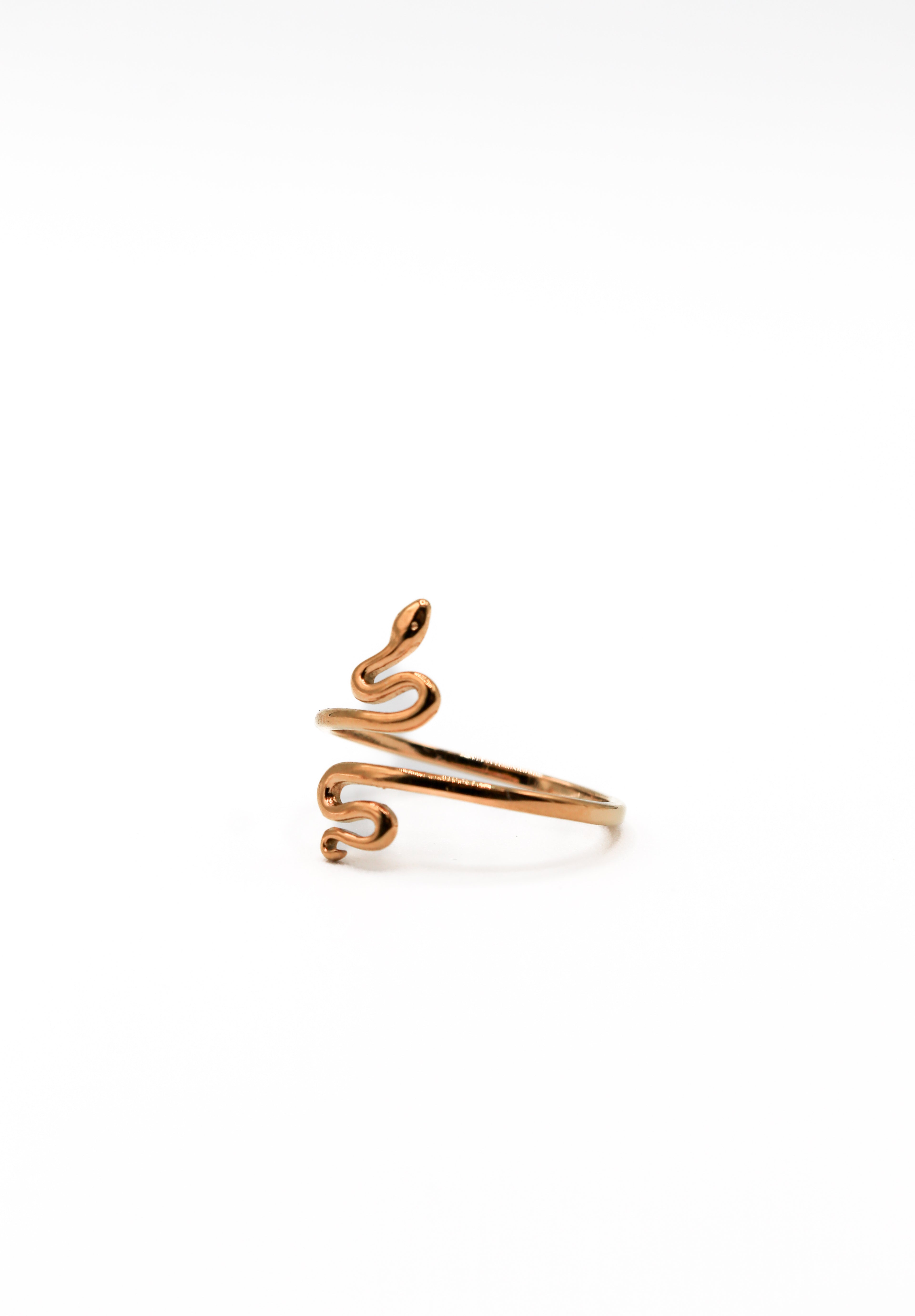 Anillo Snake
